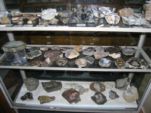 Центральный сибирский геологический музей